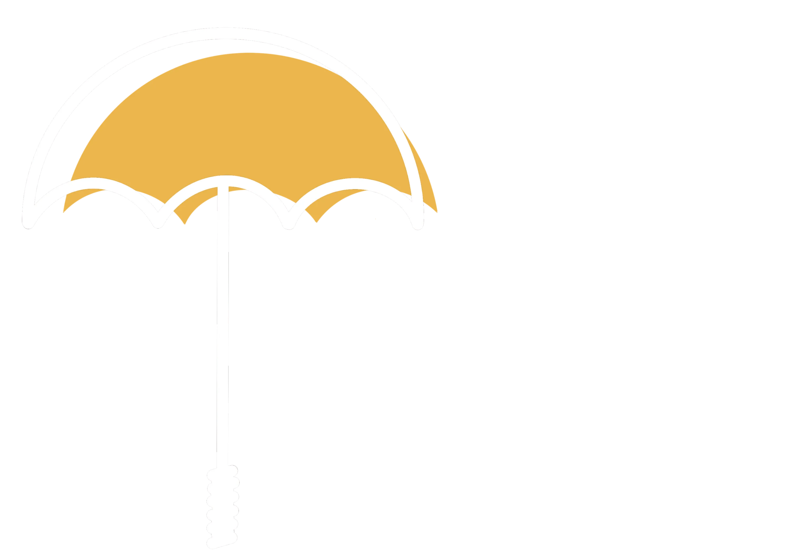 Yellow Brolly Co